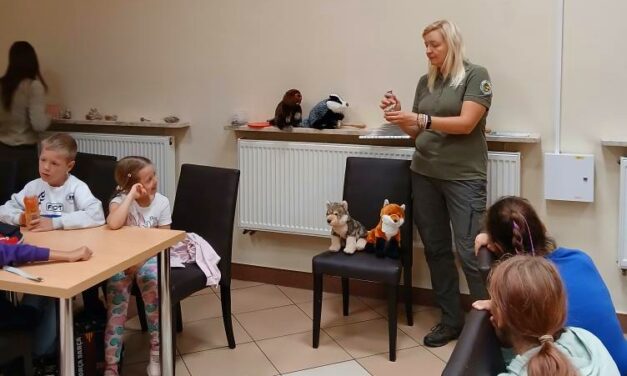 Zwierzęta, ich tropy i Wdecki Park Krajobrazowy