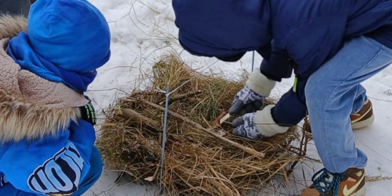 Survival – o przetrwaniu w terenie