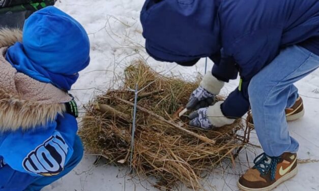 Survival – o przetrwaniu w terenie